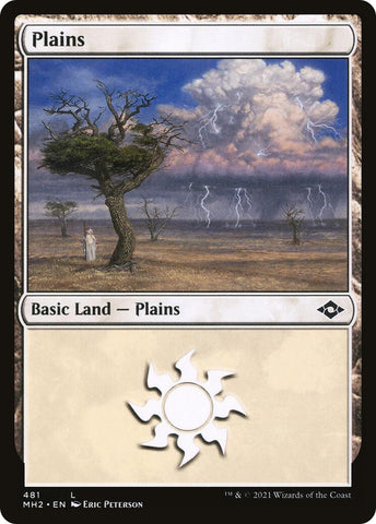 Plains (481)