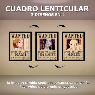 Cuadro Lenticular - One Piece - Se busca Nami, Boa, Robin