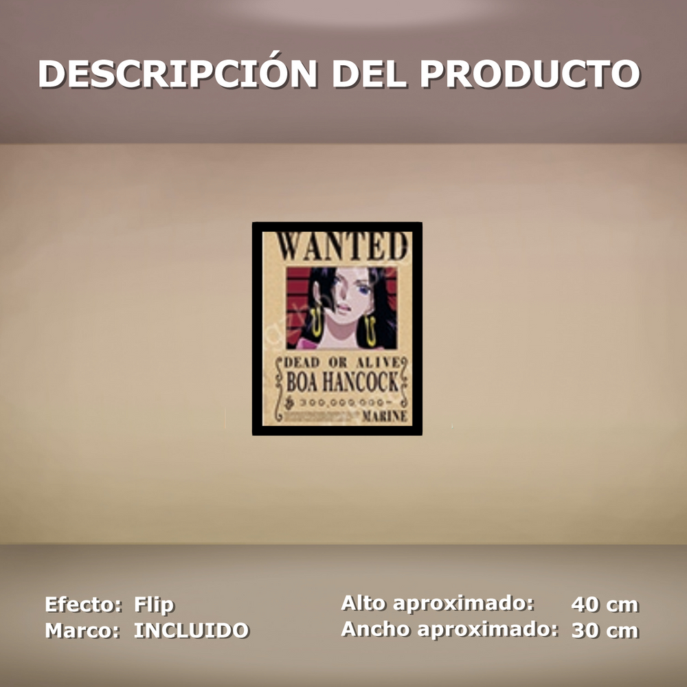Cuadro Lenticular - One Piece - Se busca Nami, Boa, Robin