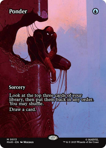 Ponder (Borderless)